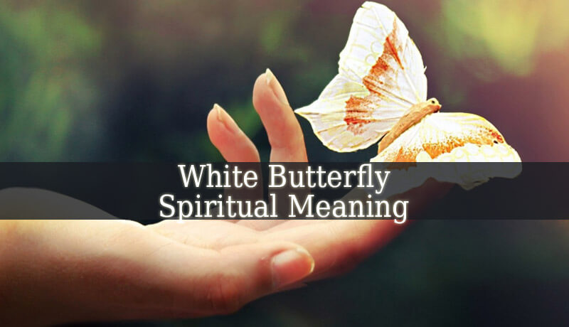 white butterfly spiritual meaning